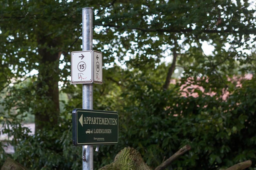 Hoeve Springendal Ootmarsum Esterno foto
