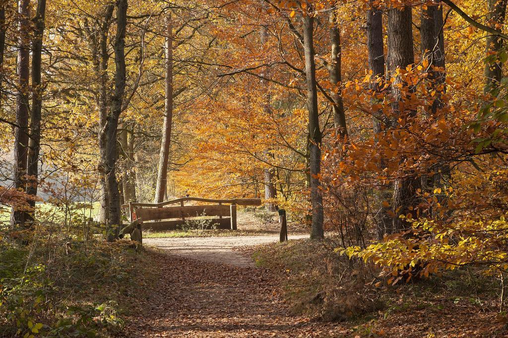 Hoeve Springendal Ootmarsum Esterno foto