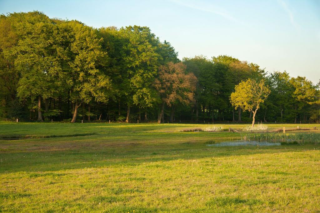 Hoeve Springendal Ootmarsum Esterno foto