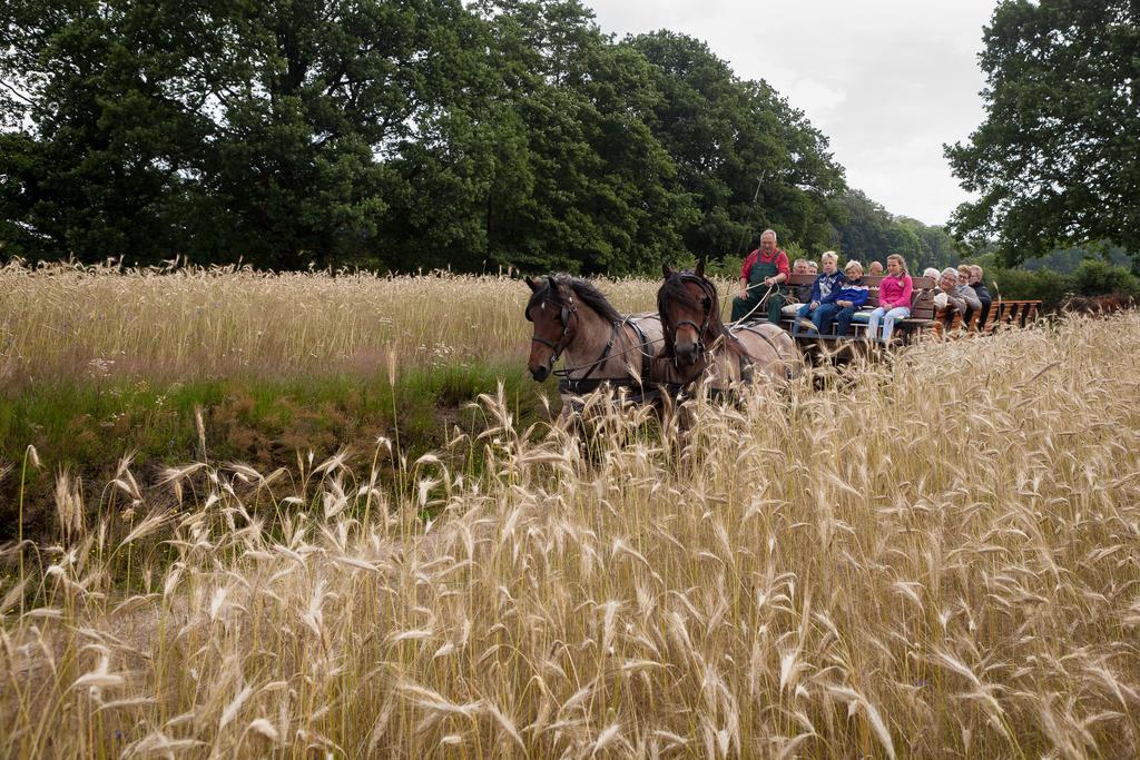 Hoeve Springendal Ootmarsum Esterno foto
