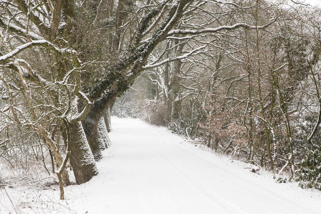 Hoeve Springendal Ootmarsum Esterno foto