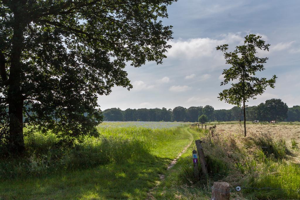 Hoeve Springendal Ootmarsum Esterno foto
