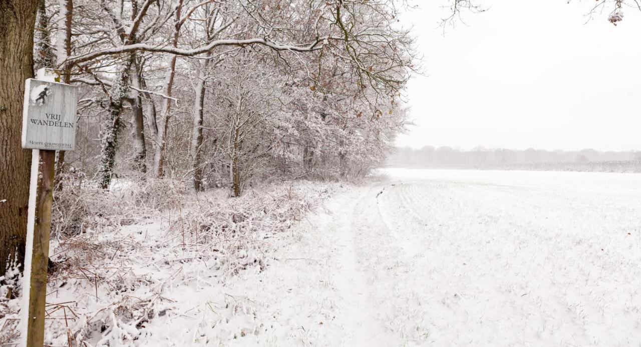 Hoeve Springendal Ootmarsum Esterno foto